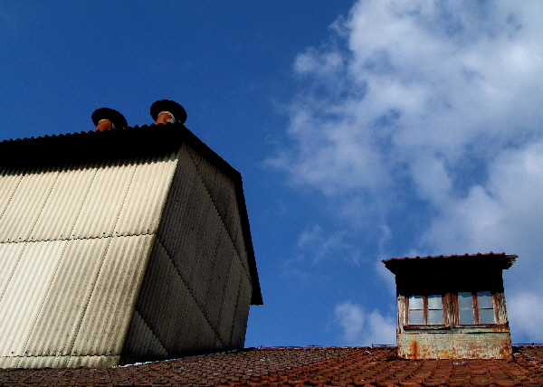 DSC01379