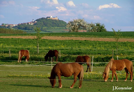 Blick auf Otzberg