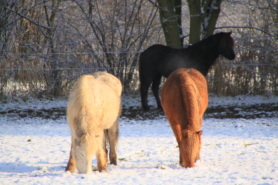 IMG_2000